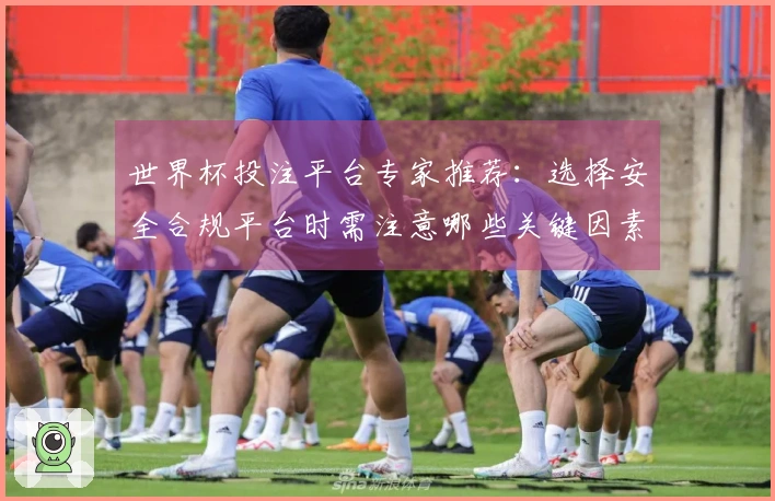 世界杯投注平台专家推荐：选择安全合规平台时需注意哪些关键因素