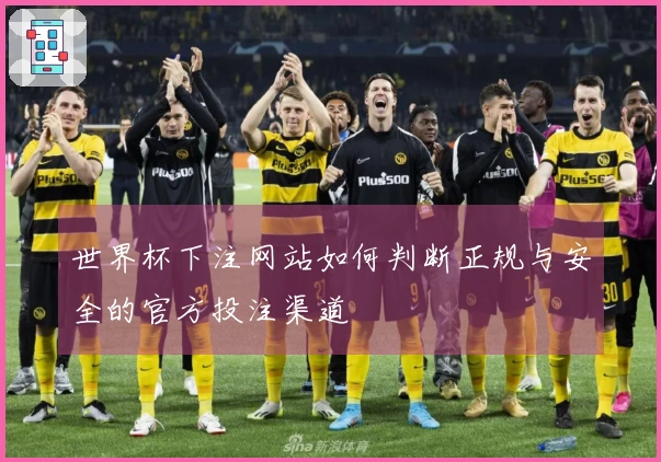 世界杯下注网站如何判断正规与安全的官方投注渠道