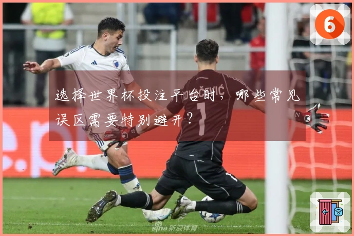 选择世界杯投注平台时，哪些常见误区需要特别避开？