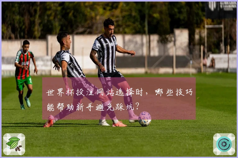 世界杯投注网站选择时，哪些技巧能帮助新手避免踩坑？